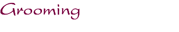 Grooming
