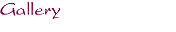 Gallery